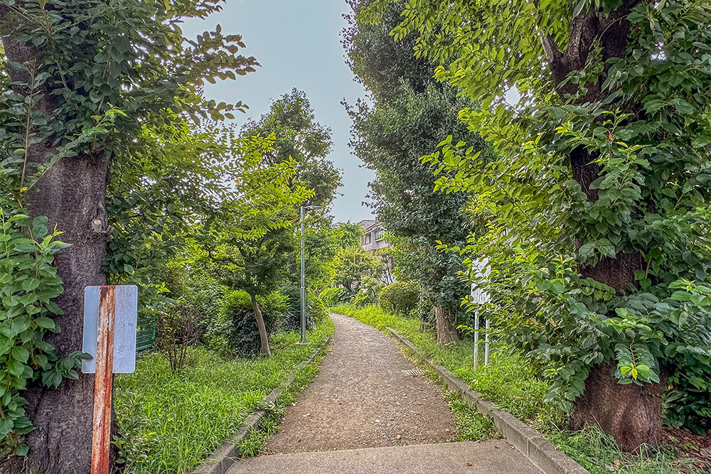 野川緑地公園