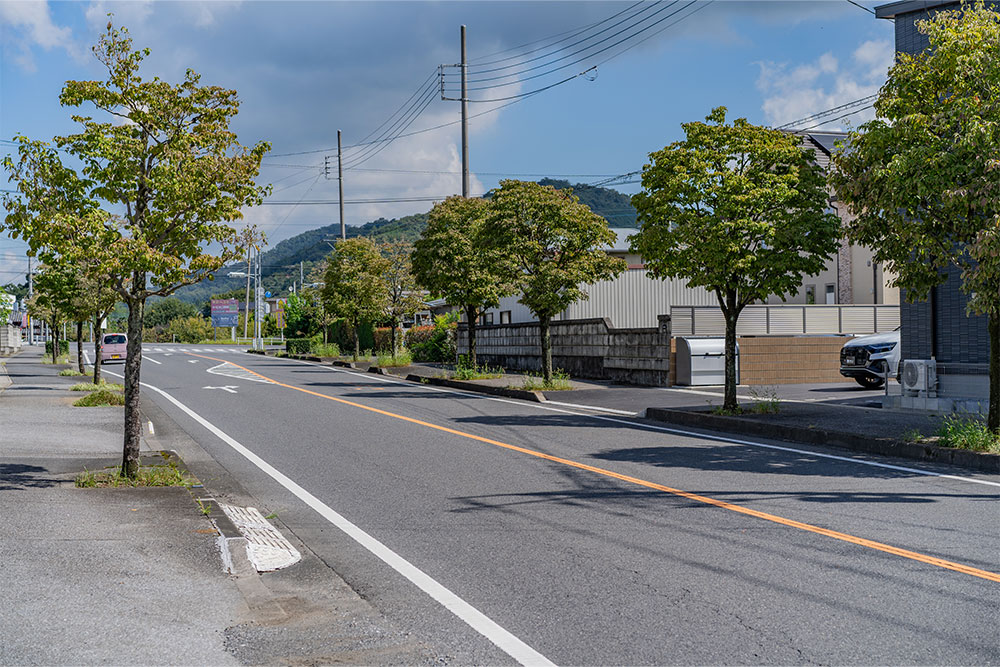 前面道路の様子