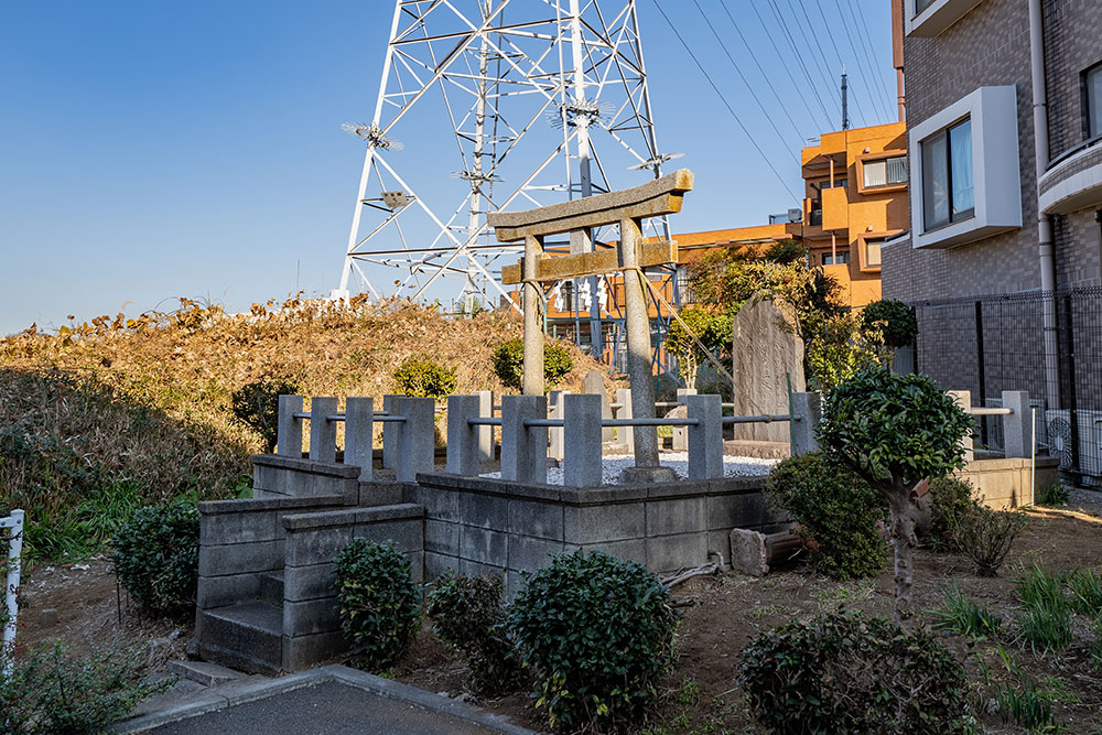 隣地の鳥居