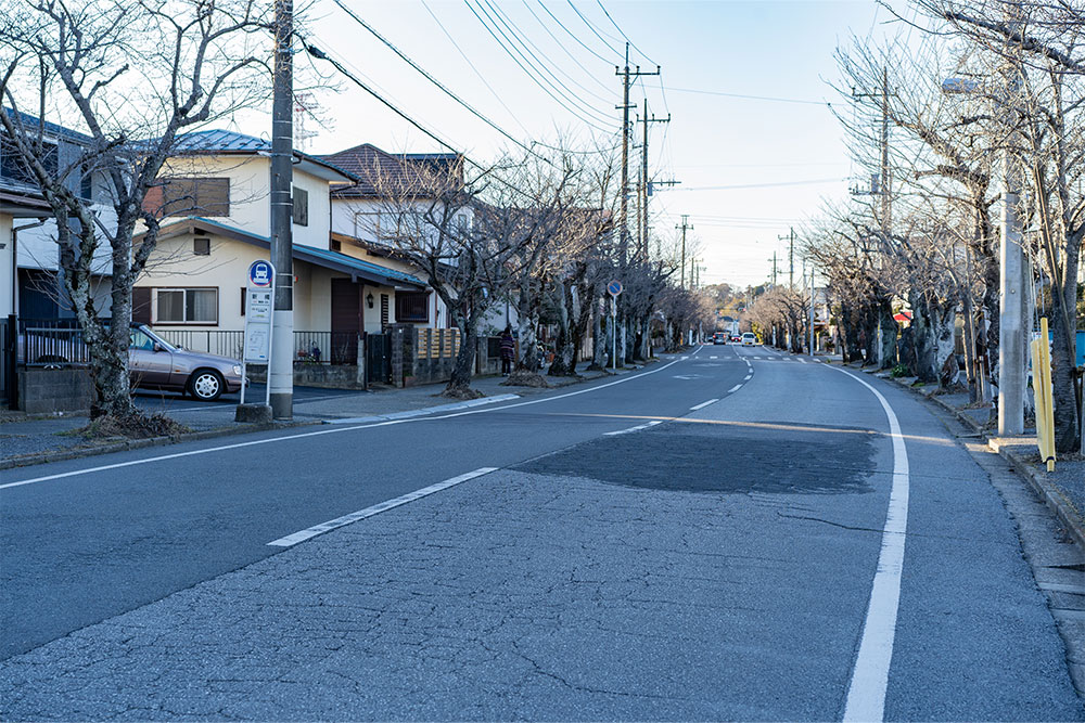 前面道路の様子