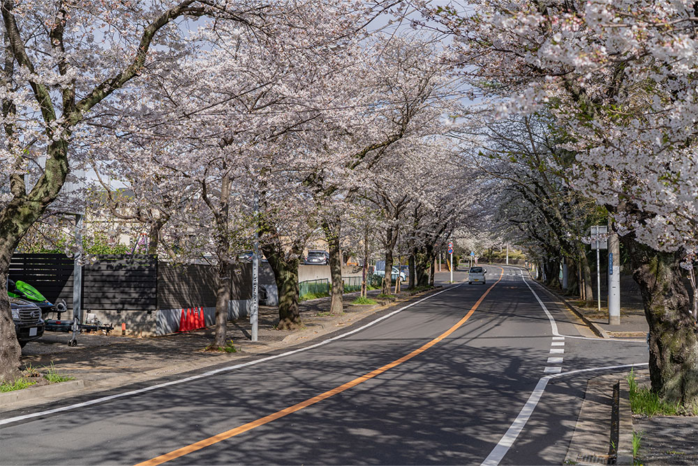 前面道路の様子