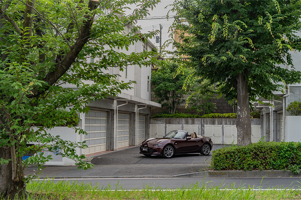 街路樹の隙間から見た物件