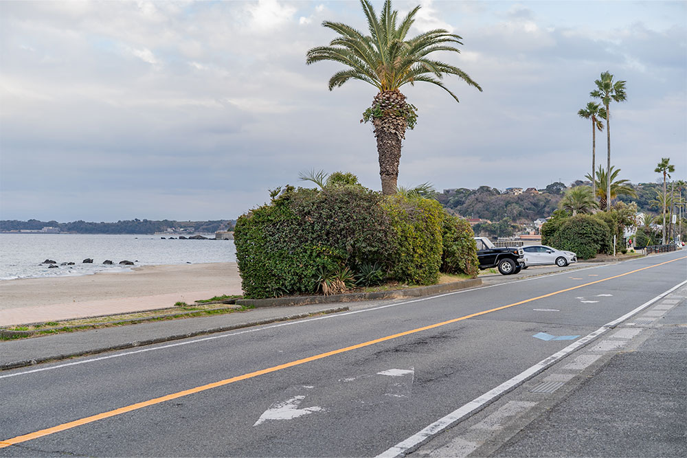 県道215号の様子