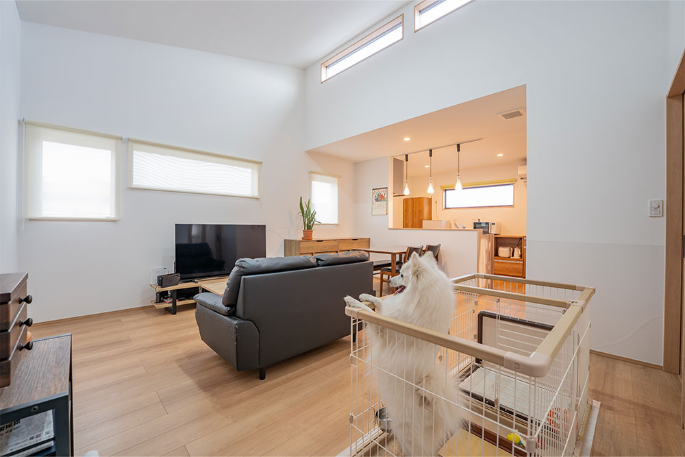 高窓から降り注ぐ陽光が爽やかなLDK