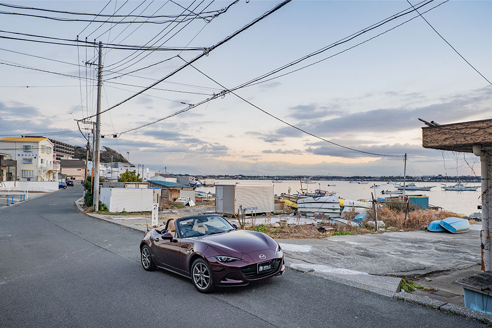 建物裏手(南側道路)の様子