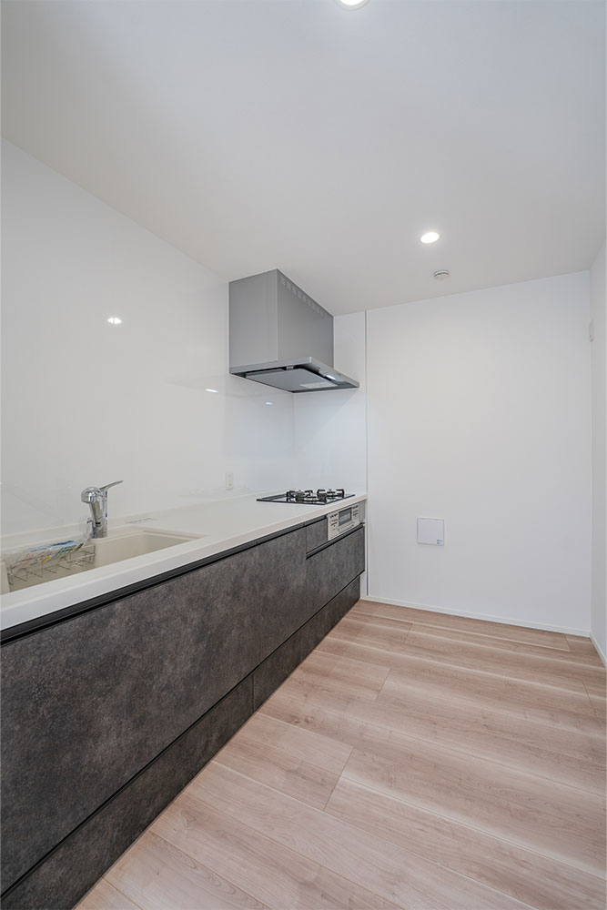 Ⅰ-103号室のキッチン