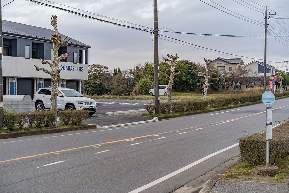 前面道路(すずかけ通り)の様子