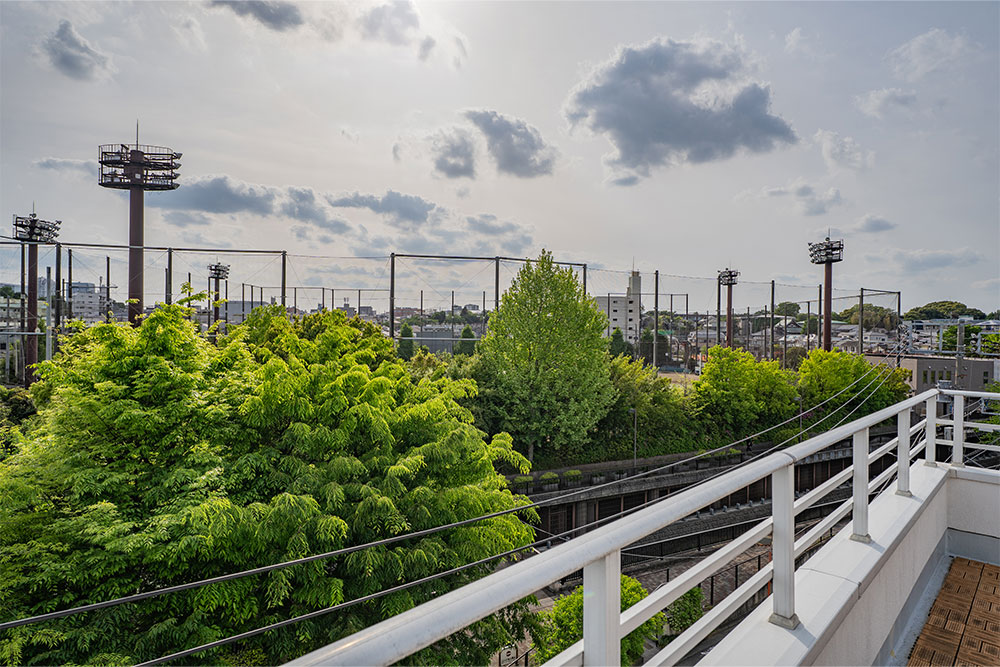 ルーフバルコニーから見た上高田公園