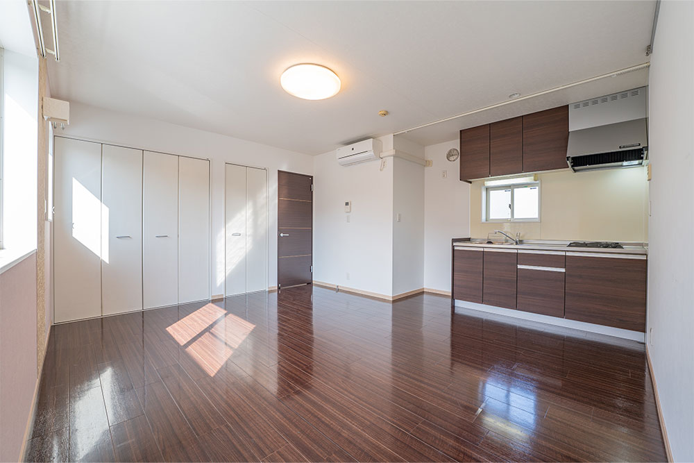 壁付けキッチンと2つの収納を備えた1R